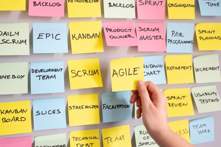 Agile in Traditional Management Structures